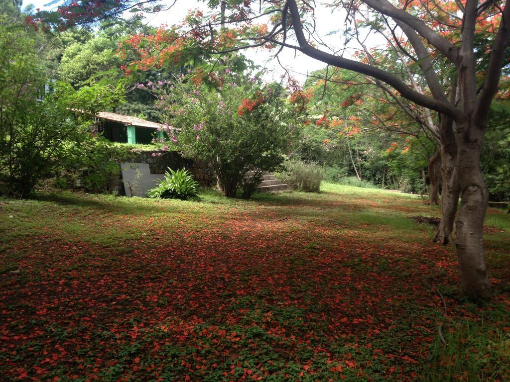 Villa Casa Do Ney Fernando de Noronha Exterior foto